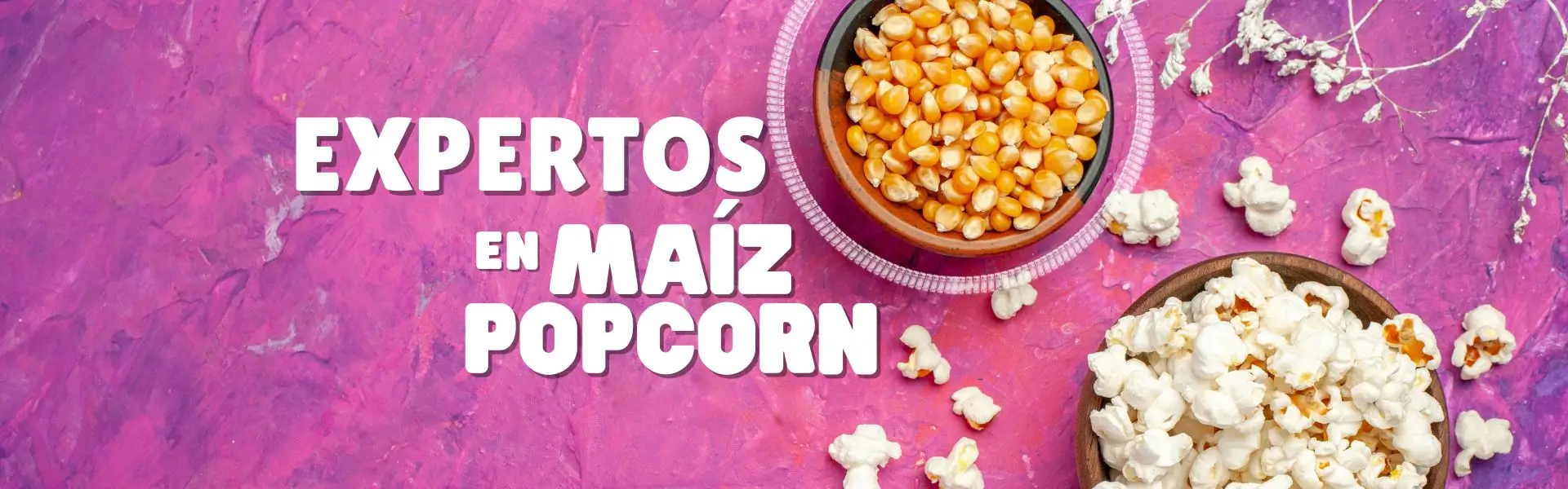 maiz curagua al mayor maiz curagua