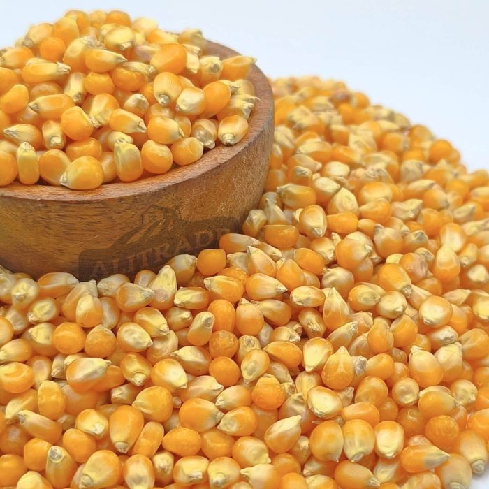 Maíz curagua o cabritas origen argentina calidad premium Alitrade saco de 25 kg ventas al mayor cines - emprendedores