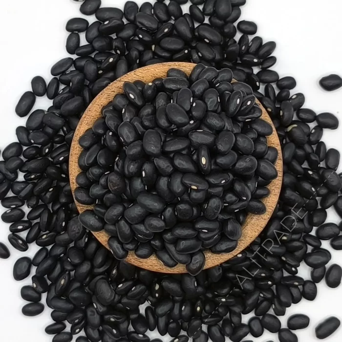 Poroto negro Alitrade – origen argentina o brasil - ventas al por mayor saco de 25 kilos