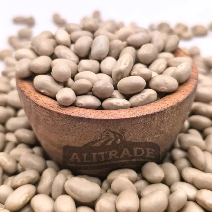 Poroto tórtola o burro origen chileno – calidad premium ventas al por mayor