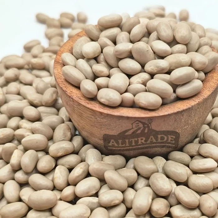 Poroto tórtola chileno calidad premium - ventas al por mayor Alitrade